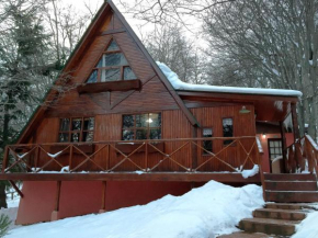 Гостиница Cabañas Bosque Del Faldeo  Ушуайя
